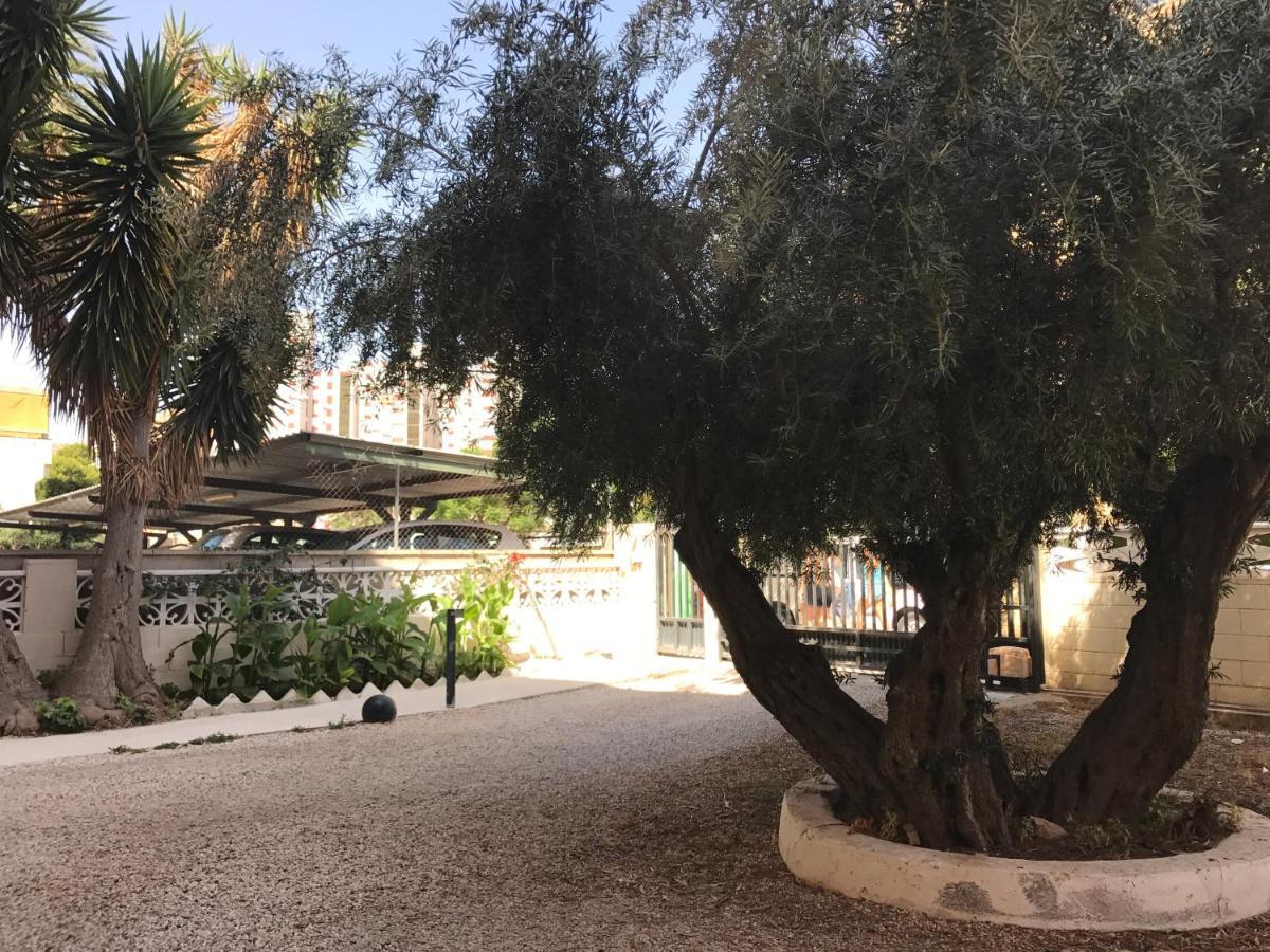 Apartamento En La Playa - Alicante, Costa Blanca - Los Olivos Eksteriør bilde